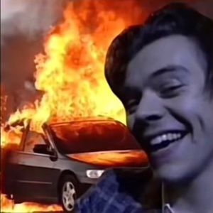 Meet your Posher, Isabella